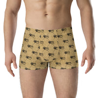 Ankh Awakening Men's Boxer Briefs AMBB-044