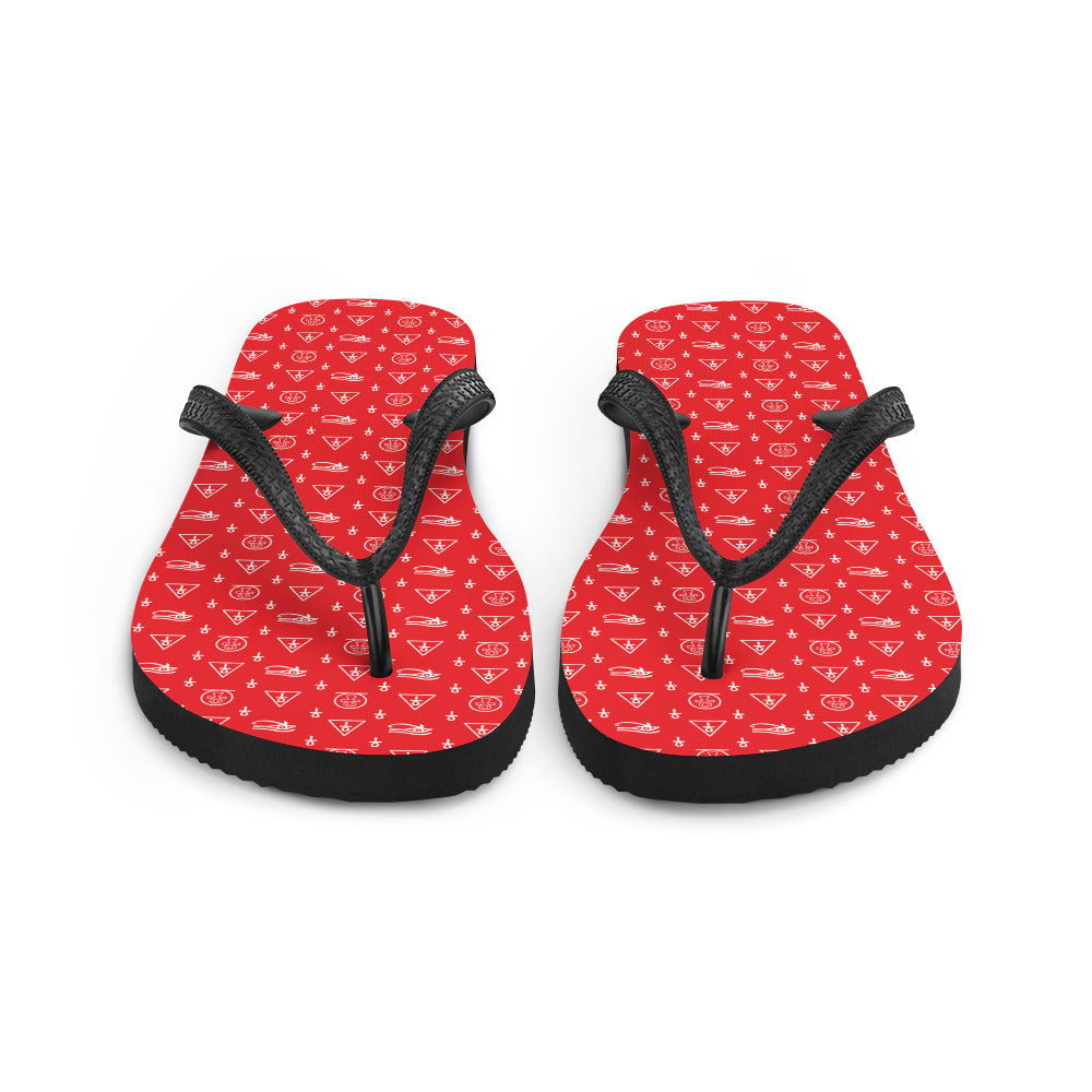 Ankh Awakening Men's Flip-Flops AAMF-01